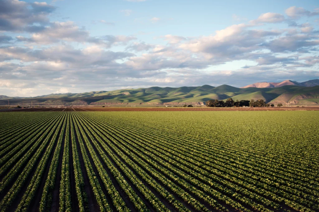 agriculture